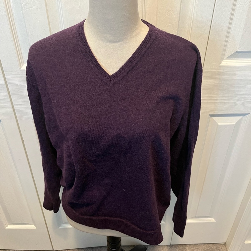 Gap Size XXL 100% Merino Wool Purple V-Neck Women's Sweater